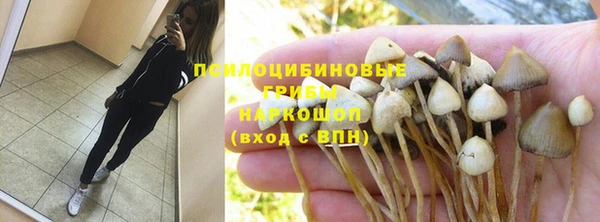 шишки Кинешма